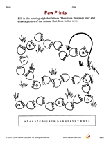 Paw Prints