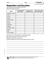 Respiration and Excretion: Vocabulary