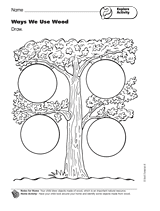 Explore Activity: Ways We Use Wood
