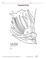 Tropical Fish Color by Number