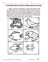 Cold-Blooded & Warm-Blooded Animals