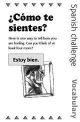 Spanish Vocabulary Challenge: Feelings