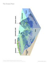 The Ocean Floor