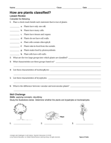 How Are Plants Classified?