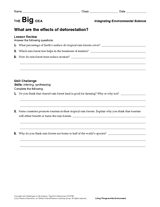 What Are the Effects of Deforestation?