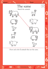 Match the Animals