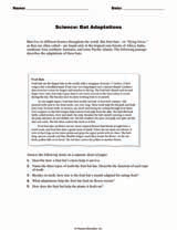Science: Bat Adaptations